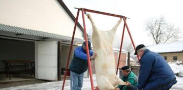 1. Obecná zabíjačka 1. Obecná zabíjačka
