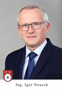 Ing. Igor Neusch Ing. Igor Neusch